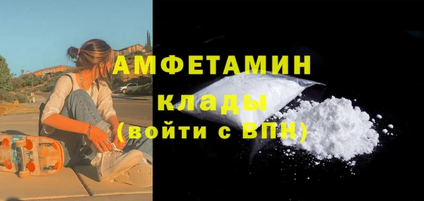 шишки Новодвинск