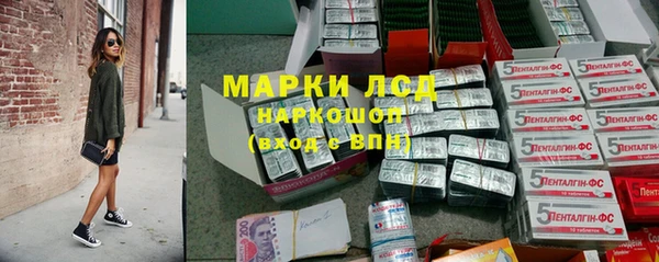 ПСИЛОЦИБИНОВЫЕ ГРИБЫ Алексин