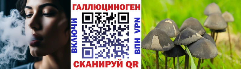 Псилоцибиновые грибы GOLDEN TEACHER  Печоры 